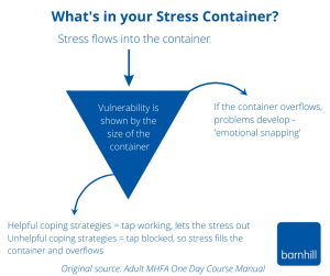 What's in your Stress Container